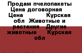 Продам пчелопакеты.Цена договорная. › Цена ­ 3 000 - Курская обл. Животные и растения » Другие животные   . Курская обл.